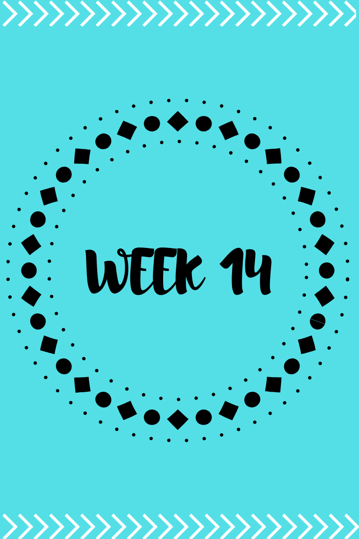 Pregnancy Week 14