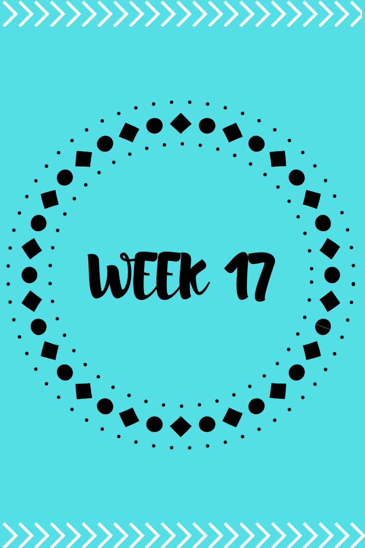 Week 17 of Pregnancy 4