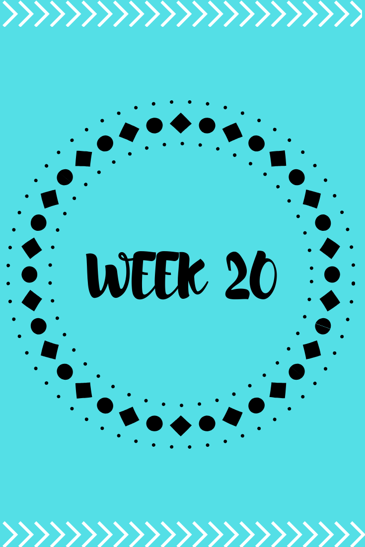 Week 20 of Pregnancy 4