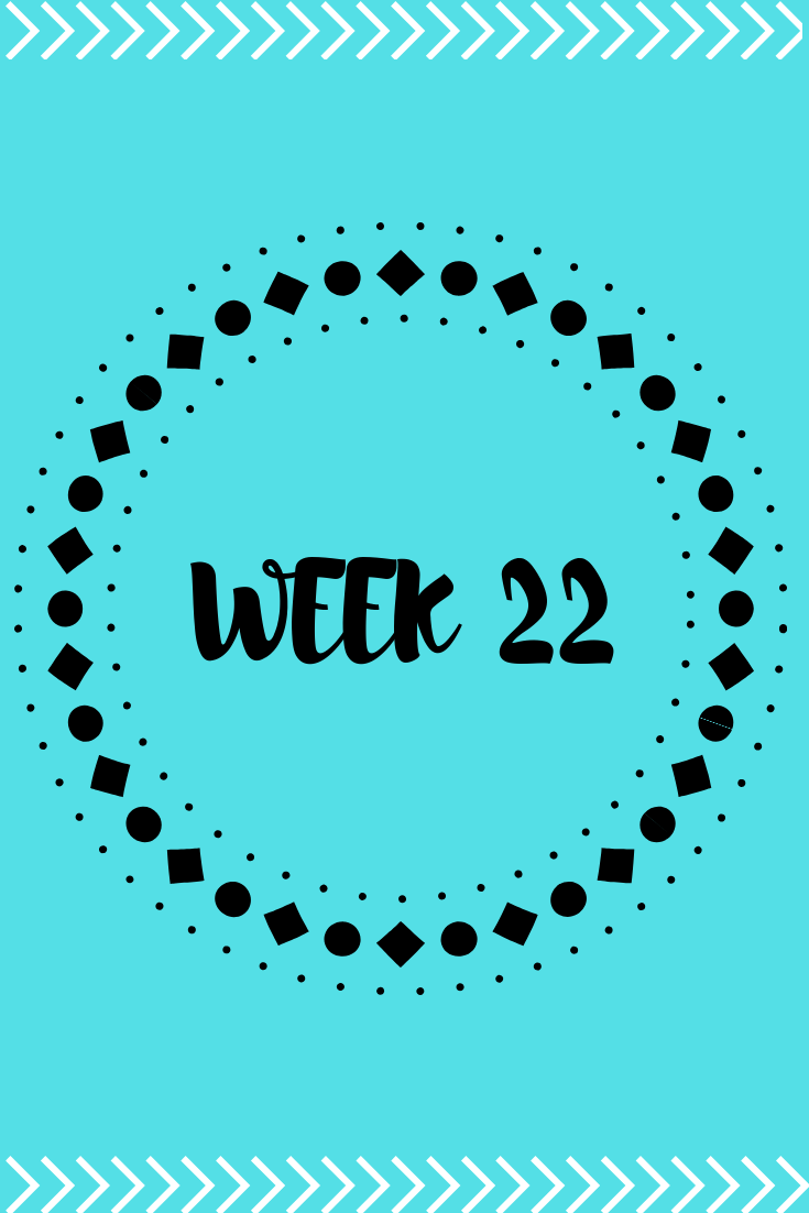Week 22 of Pregnancy 4