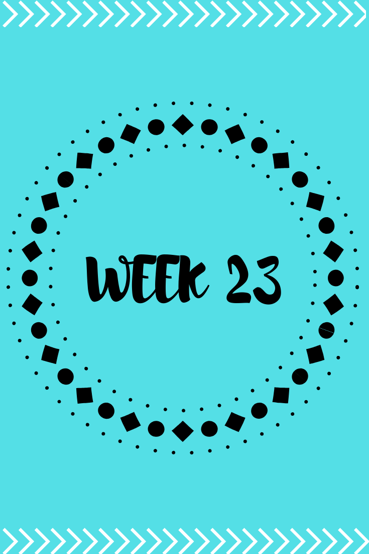 Week 23 of Pregnancy 4