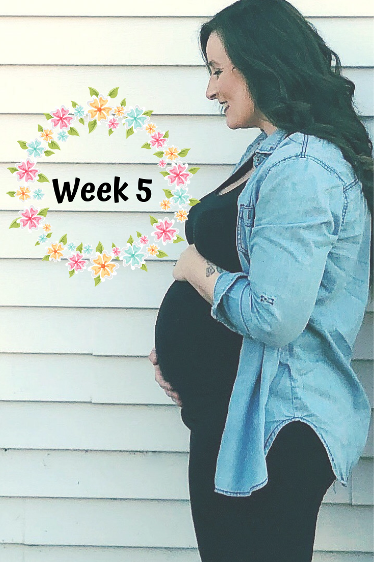 Week 5 of Pregnancy 6